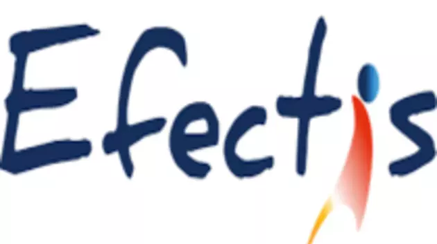 Efectis logo