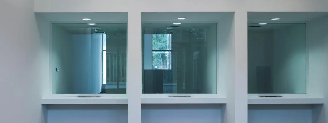 HIGH-SECURITY VDS BULLET FOR PARTITIONS