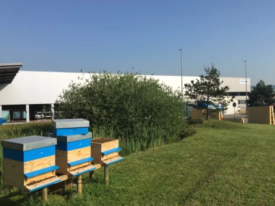 Bee hives at Vetrotech Romont