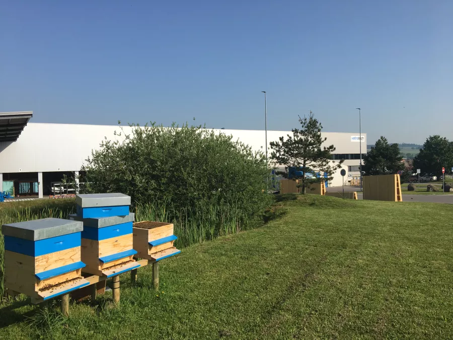 vetrotech romont bees busy