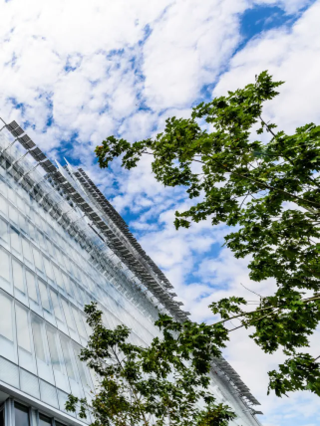 FIRE RESISTANT VDS CURTAIN WALL EXTERIOR