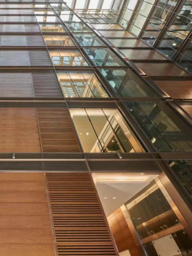 One central project - from below shot